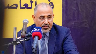 الرئيس الزُّبيدي يجدد التأكيد على استعداد القوات الجنوبية لحماية الملاحة الدولية