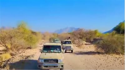 دفاع شبوة تكسر هجوماً حوثياً على حدود بيحان مع حريب اليمنية 