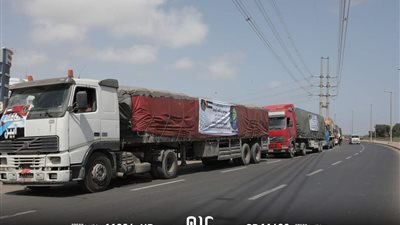 الرئيس الزُبيدي ودولة الإمارات.. جهود إغاثية نبيلة لشهداء الجنوب وشعبه 