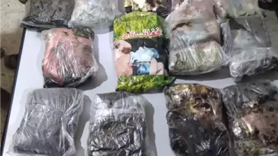 إحباط تهريب كمية من الحشيش إلى العاصمة عدن