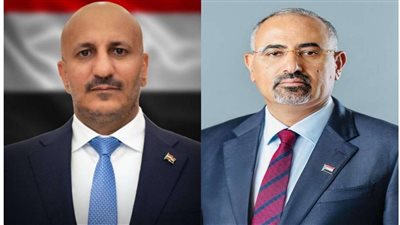 الرئيس الزُبيدي يناقش مع العميد طارق صالح مستجدات الأوضاع العسكرية والاقتصادية