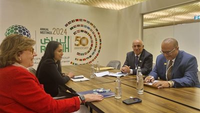 وزير التخطيط يلتقي مسؤولة التمويل المبتكر بمنظمة الشراكة العالمية