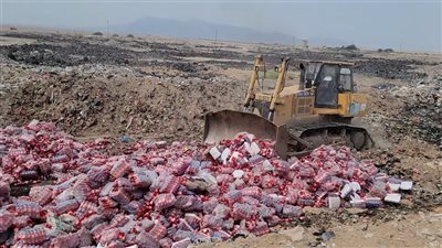 إتلاف أكثر من 21 ألف كرتون مواد غذائية ومشروبات منتهية الصلاحية بعدن