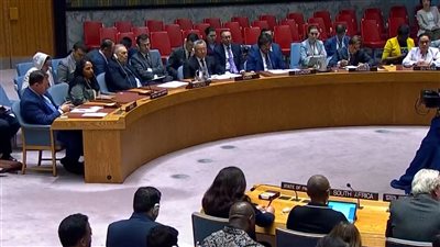 أمريكا: إخفاق أممي بآلية تفتيش السفن في الموانئ الخاضعة لمليشيا الحوثي