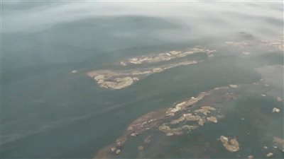 تسرب نفطي بالقرب من ميناء النشيمة يهدد الحياة البحرية في شبوة 