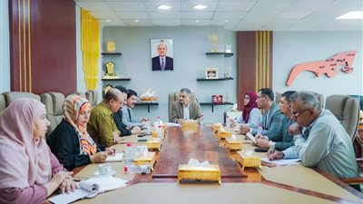 لملس يلتقي رئيس اللجنة الوطنية للتحقيق في ادعاءات انتهاكات حقوق الإنسان