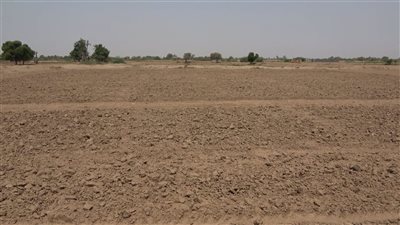 الجفاف يضرب أراضي زراعية بلحج لأكثر من 15 عاماً 