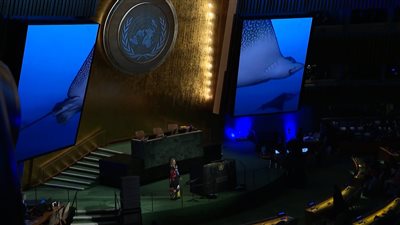 المشاركة الأممية للرئيس الزُبيدي.. تعزيز للحضور الجنوبي ودعم لجهود السلام 