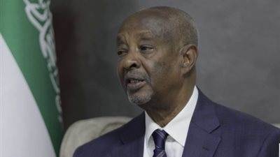 وزير داخلية أرض الصومال: هناك تنسيق محكم بين الحوثي وحركة الشباب 