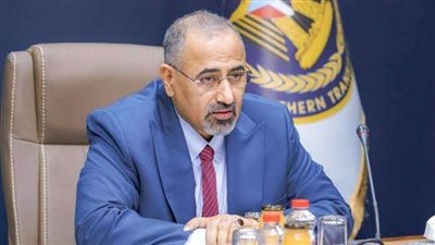 الزُبيدي يمثل إرادة الجنوبيين.. إشادة واسعة بجهود الرئيس في الأمم المتحدة