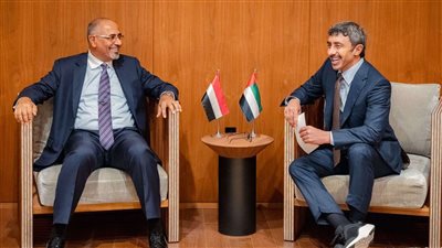 الرئيس الزُبيدي يبحث مع وزير الخارجية الإماراتي العلاقات الثنائية وآفاق التعاون المشترك