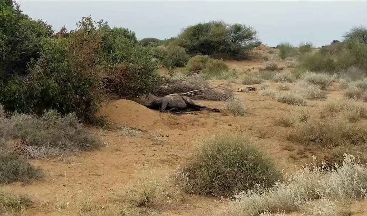  قناة عدن المستقلة AIC HDTV