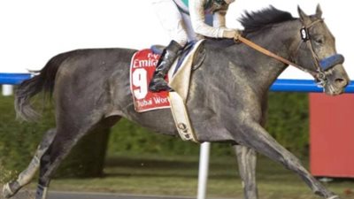 حدث استثنائي يعزز مكانة دبي.. 4 من السباقات تنضم إلى سلسلة «بريدرز كب»