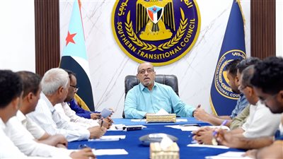 ورشة عمل بعدن لتعزيز العمل التنظيمي والمؤسسي لمنتسبي الهيئات المحلية للمجلس الانتقالي