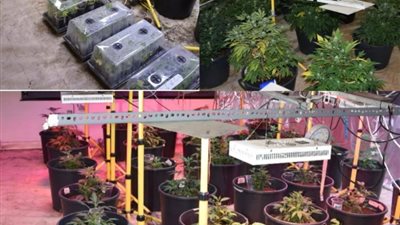 المؤبد لثلاثة متهمين بالبحرين زرعوا مواد مخدرة داخل مبنى سكني بقصد الاتجار