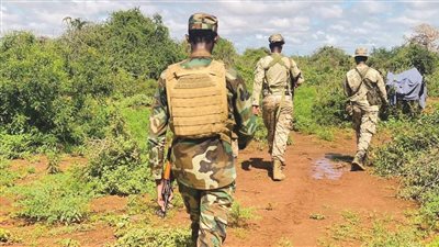 الجيش الصومالي يعلن مقتل على 25 مسلحاً من حركة الشباب الإرهابية 