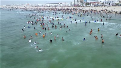 تقرير.. فعاليات موسم البلدة تنطلق في المكلا.. احتفالية بعبق التراث وشراكة مجتمعية