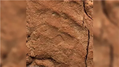 مصر.. اكتشاف بصمة يد عمرها 4 آلاف عام على أثر طيني