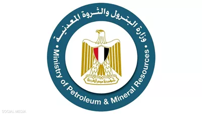 وزارة البترول المصرية تعلن إطفاء حريق على سفينة حاويات