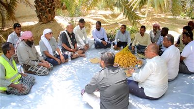 في إطار مهرجان التمور.. مكتب الزراعة بحضرموت يتفقد مزارع النخيل بسيئون