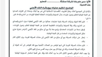 البنك المركزي يصدر تعليمات جديد لتنظيم عملية صرف العملة