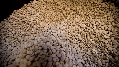 وزارة الداخلية العراقية تعلن تفكيك أكبر مصنع كبتاغون بالشرق الأوسط