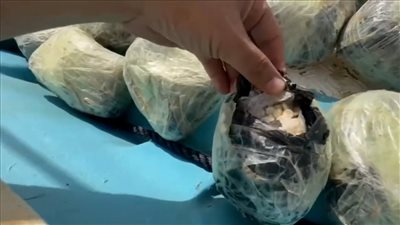 الحملة المشتركة تضبط مئات الآلاف من الحبوب المخدرة بالقرب من باب المندب