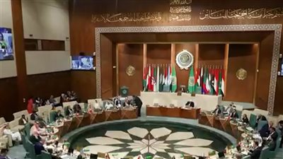 الجامعة العربية تدعو الى تحويل مبادئ إعلان نيويورك لواقع عملي