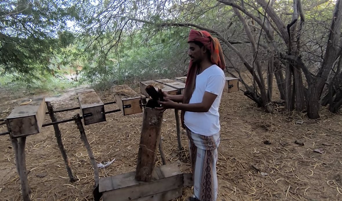  قناة عدن المستقلة AIC HDTV