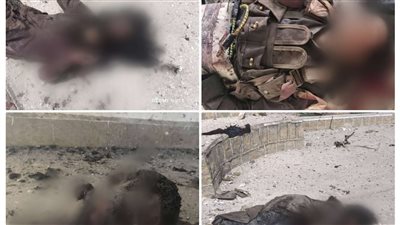 العميد نصر اليافعي: قواتنا أفشلت هجوماً إرهابياً للقاعدة في أبين وحققت انتصاراً كبيراً على عناصر الشر والإرهاب