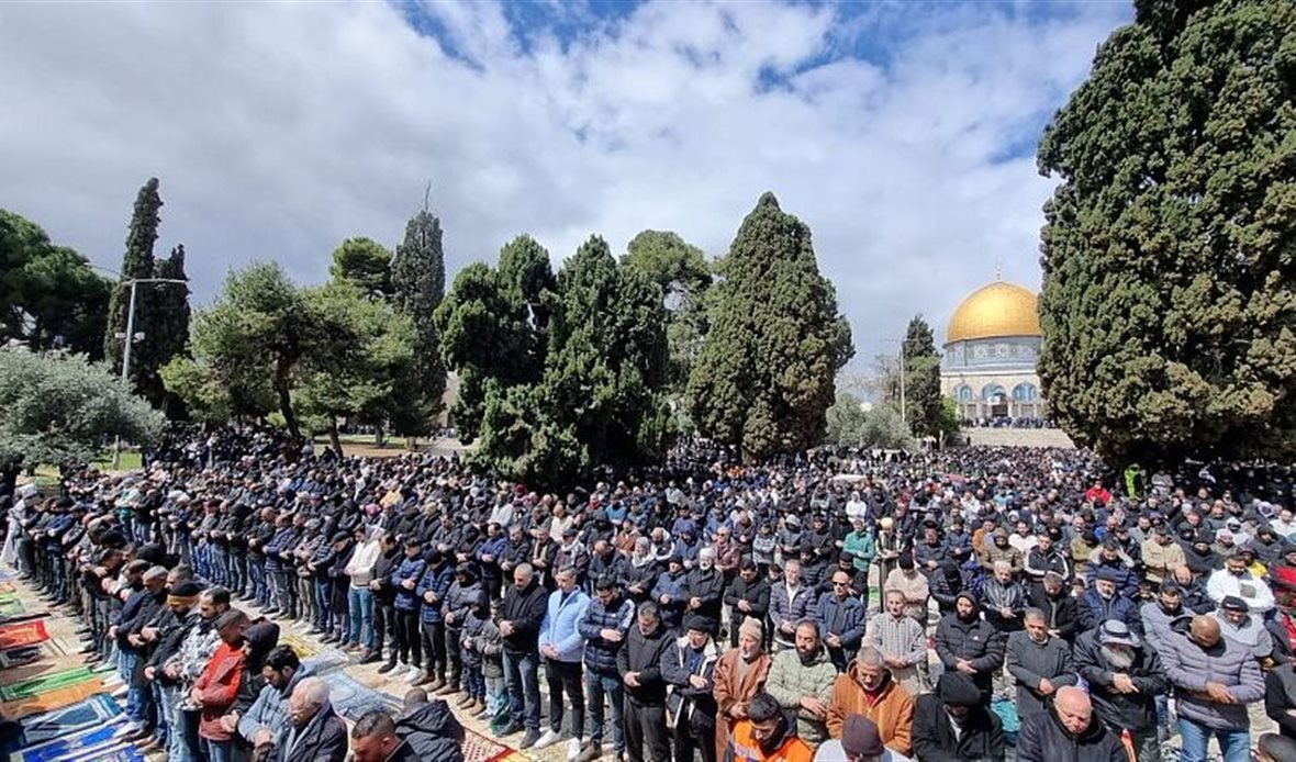  قناة عدن المستقلة AIC HDTV