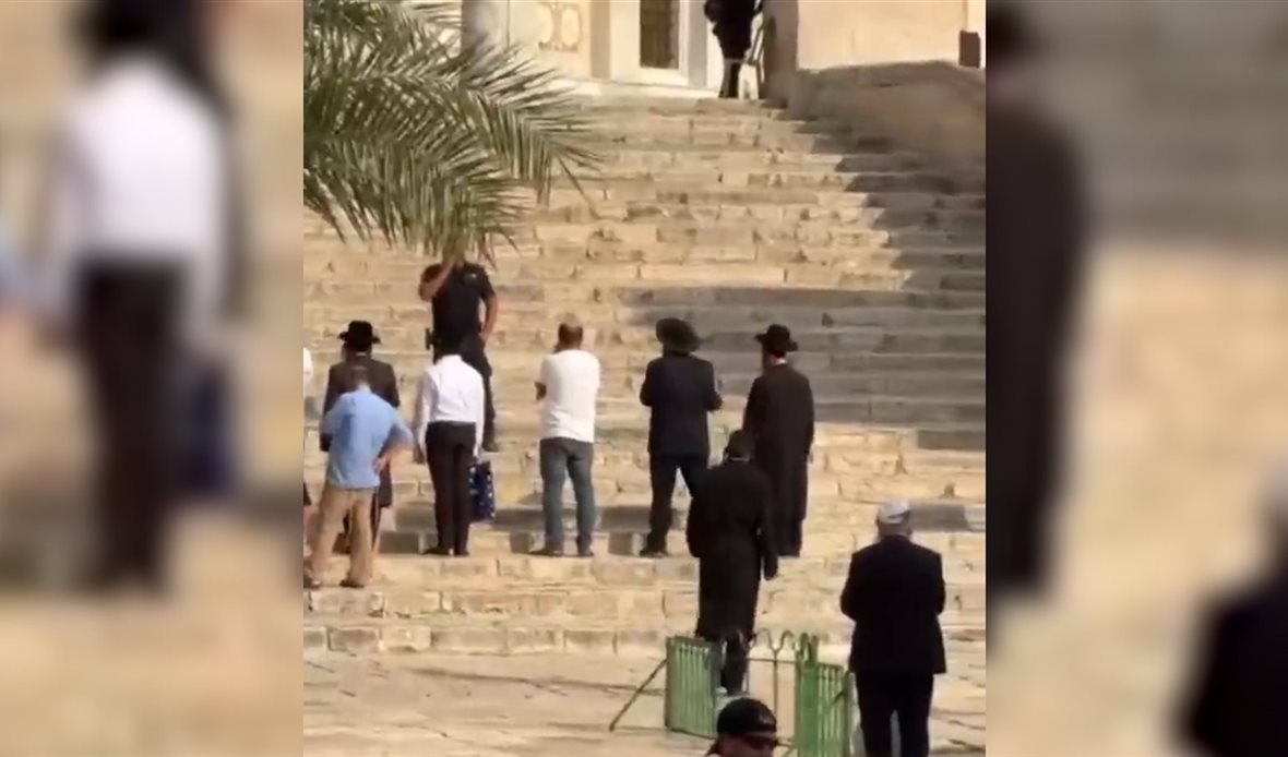  قناة عدن المستقلة AIC HDTV