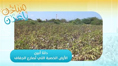 صباحك ياعدن | دلتا أبين… الأرض الخصبة التي تُصارع الجفاف