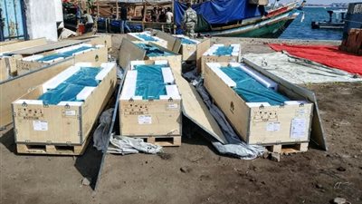 ضبط سفينتين قادمتين من جيبوتي في طريقهما لرأس العارة على متنهما معدات اتصالات متقدمة 