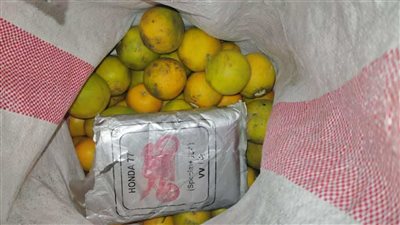 إحباط محاولة ترويج حشيش والقبض على ثلاثة مروجين بساحل حضرموت